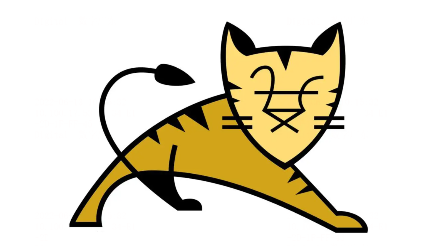 JavaWeb①Tomcat 服务器