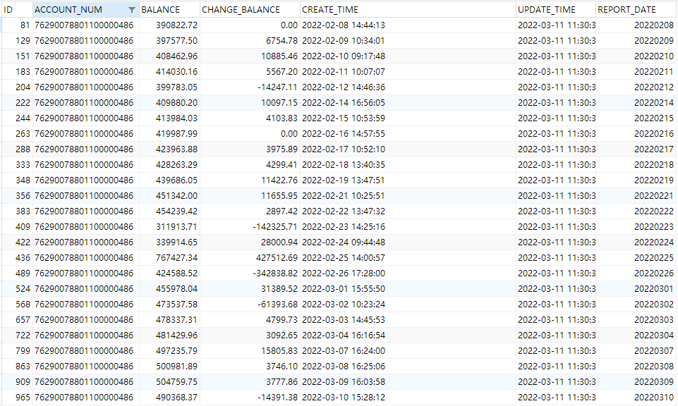 表Balance_Detail部分记录