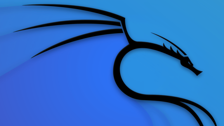 2022.7.22 关于kali 在VMware中采用NAT网络连接的相关配置