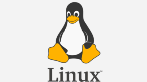 Linux基础指令