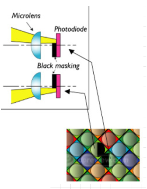 image-20220130170656884