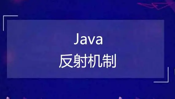 【Java 进阶】详细探究 Spring 框架中的注解与反射