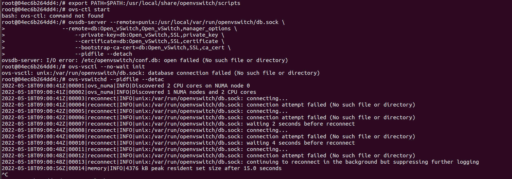 Ubuntu ovs 