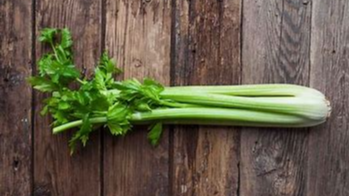 Celery