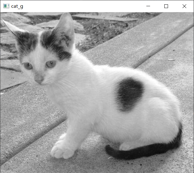 image-20220710182220824