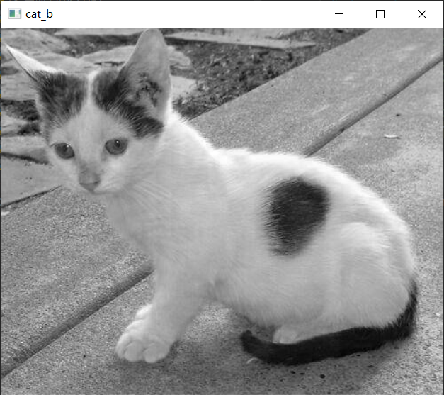 image-20220710181929732