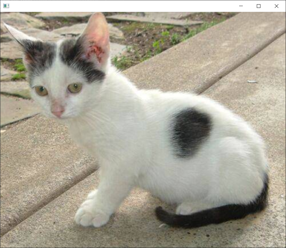 image-20220711160339330