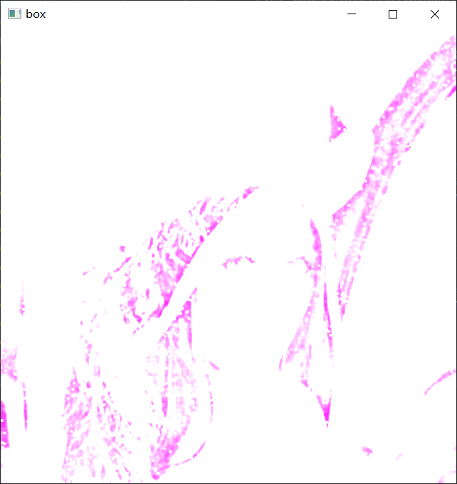 image-20220711161220324