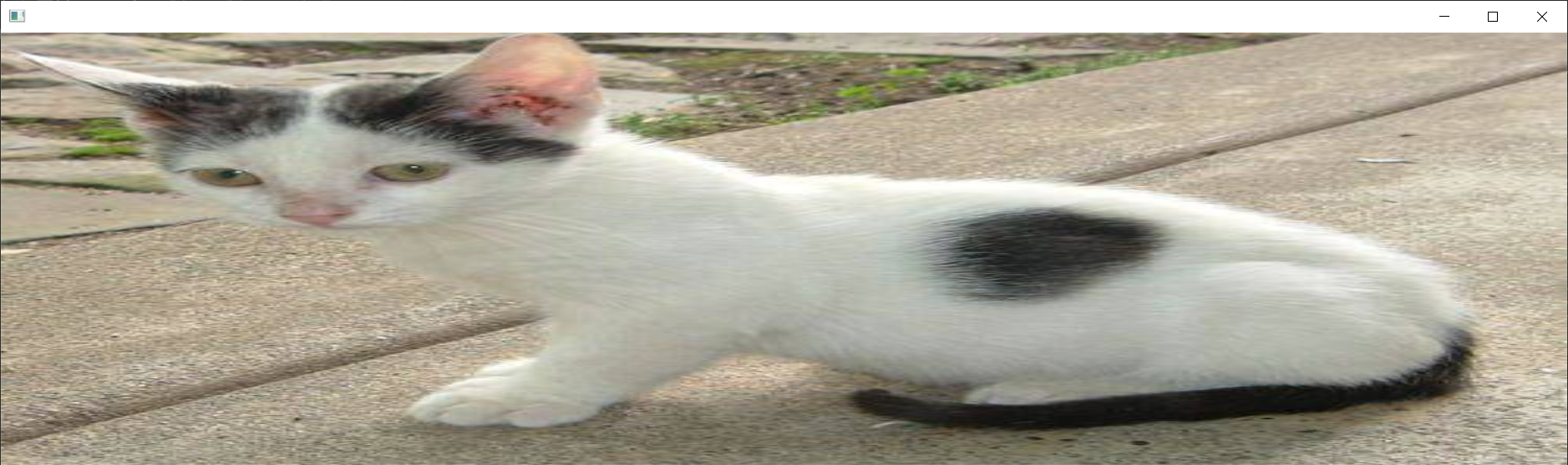 image-20220711160245058