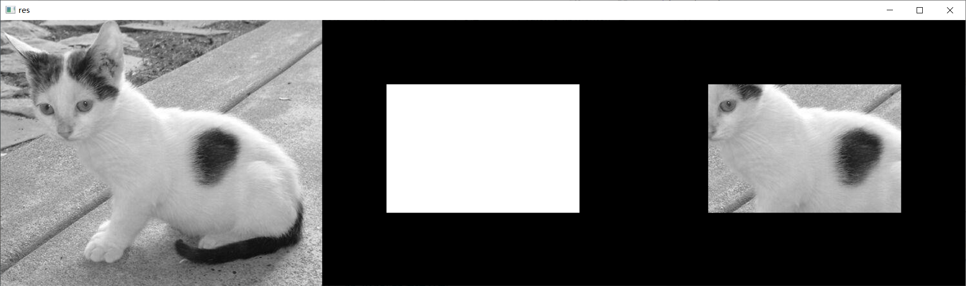 image-20220712154511084