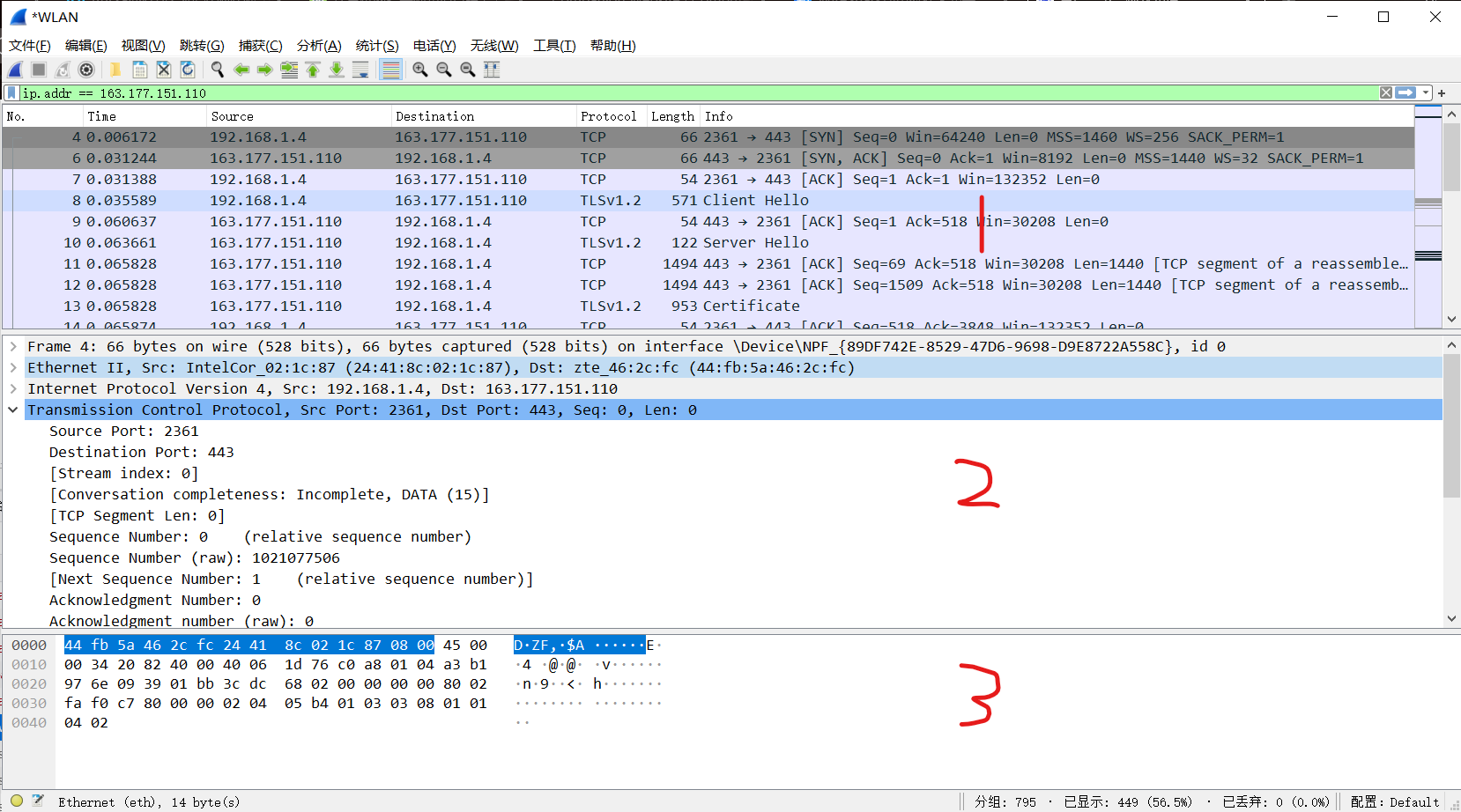 Wireshark Graphical User Interface, during packet capture and analysis