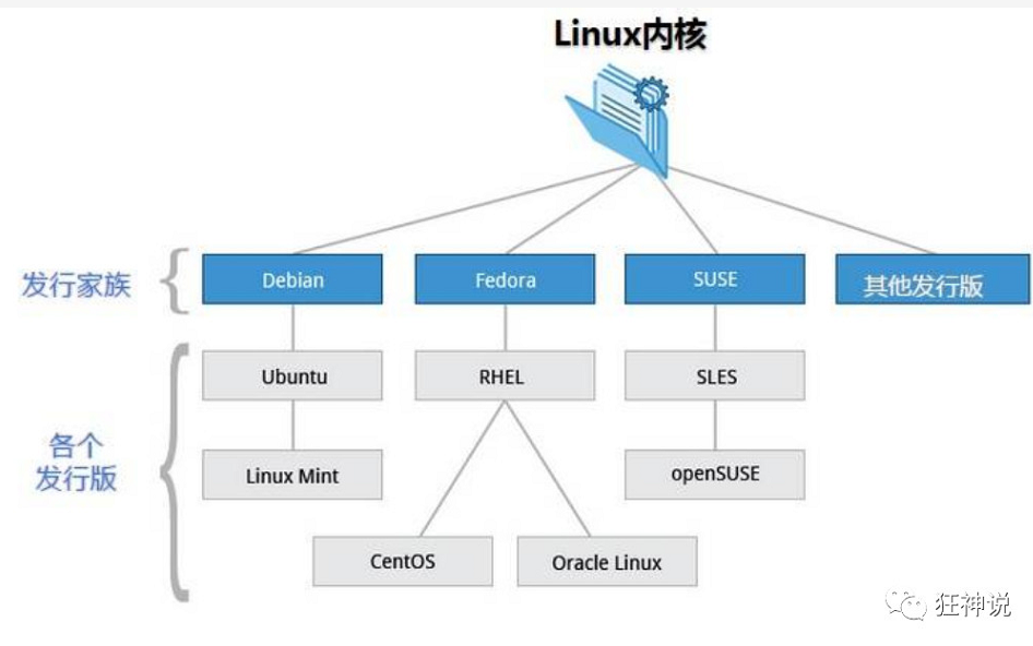 image-20220319002519656