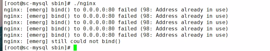 image-20220319212433338