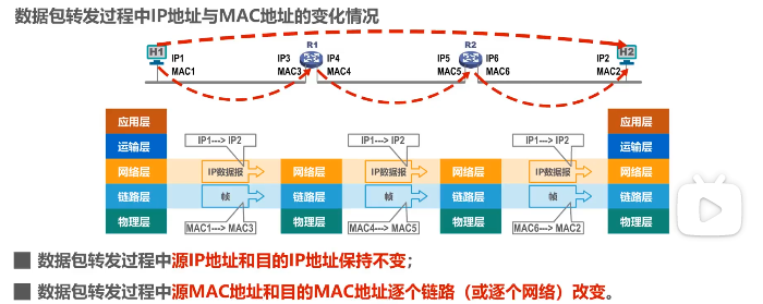 image-20220413194746655