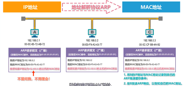 image-20220413195337995