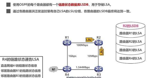 image-20220414153848232