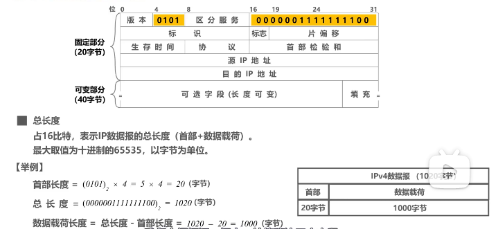 image-20220414163101420