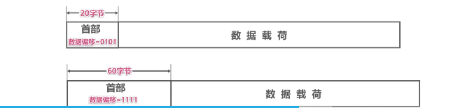 image-20220415170211388