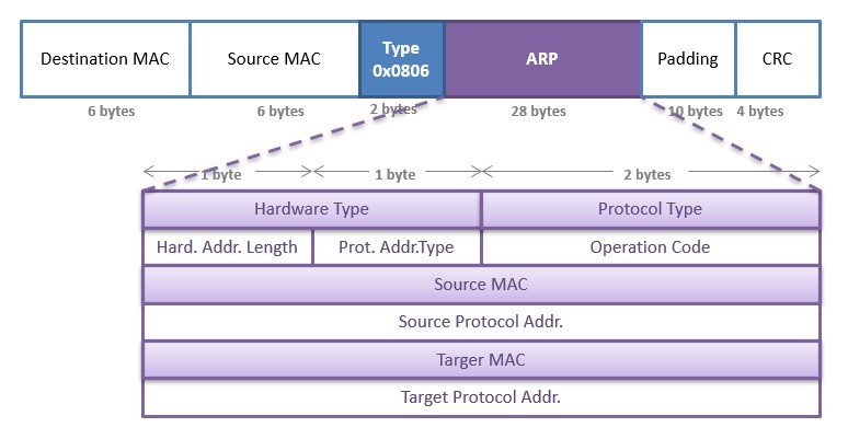 ARP Protocol Overview | What is ARP? | ARP Process ⋆ IpCisco