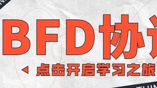 BFD协议简介