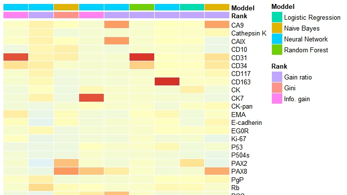 使用R语言绘制热图heatmap