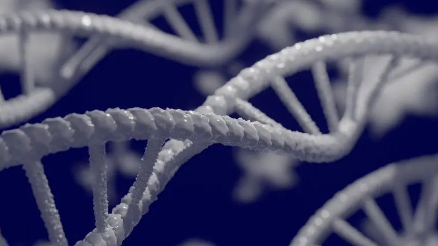 来看看字节跳动内部的数据血缘用例与设计