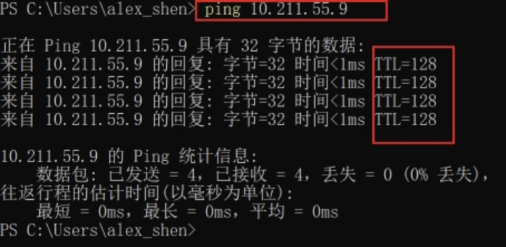 image-20220313054800333