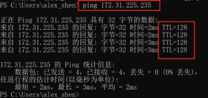 image-20220313055709205