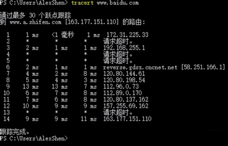 image-20220313061246518