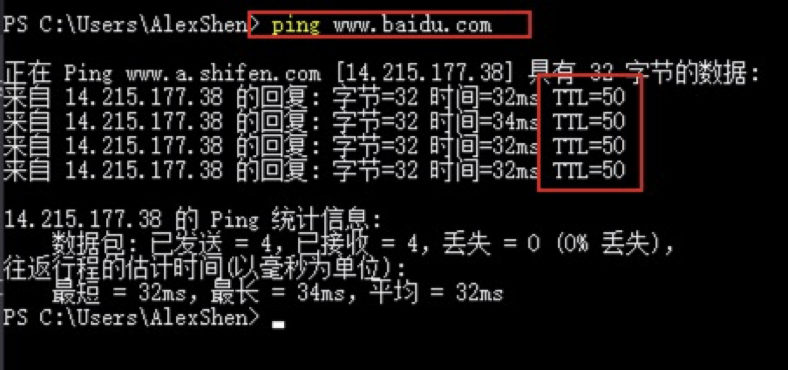 image-20220313060455467