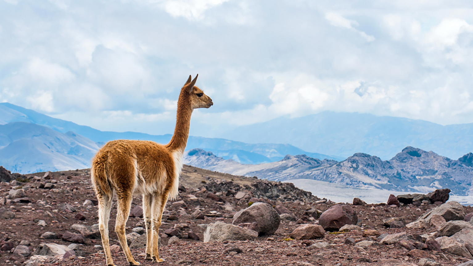 现代软件工程复习