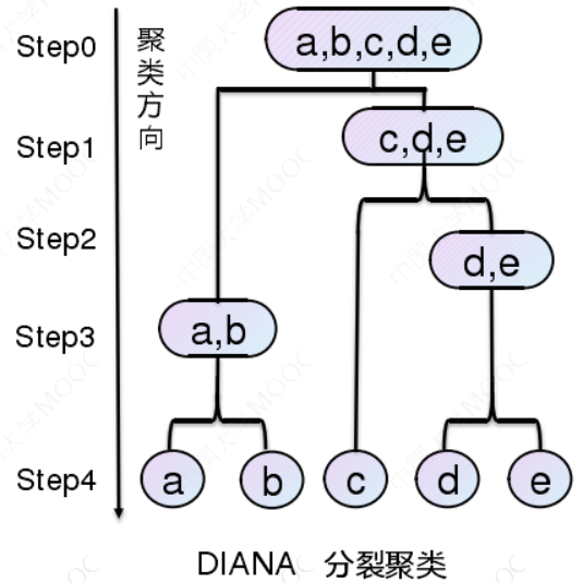 聚类谱系图怎么画图片