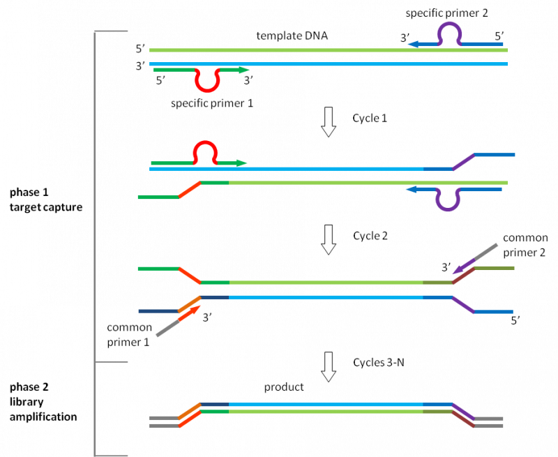 Relay-PCR