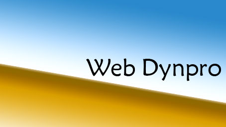 Web Dynpro-Select_Options