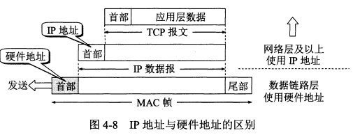 image-20220310132024339