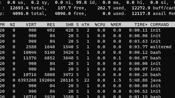 Linux命令拾遗-硬件资源观测