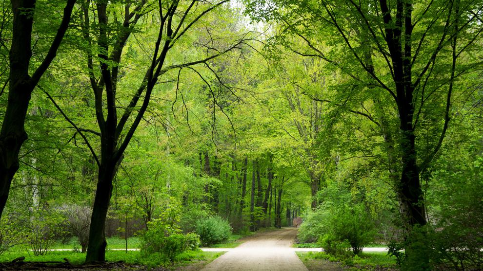 SQL学习日记(一) 语法篇