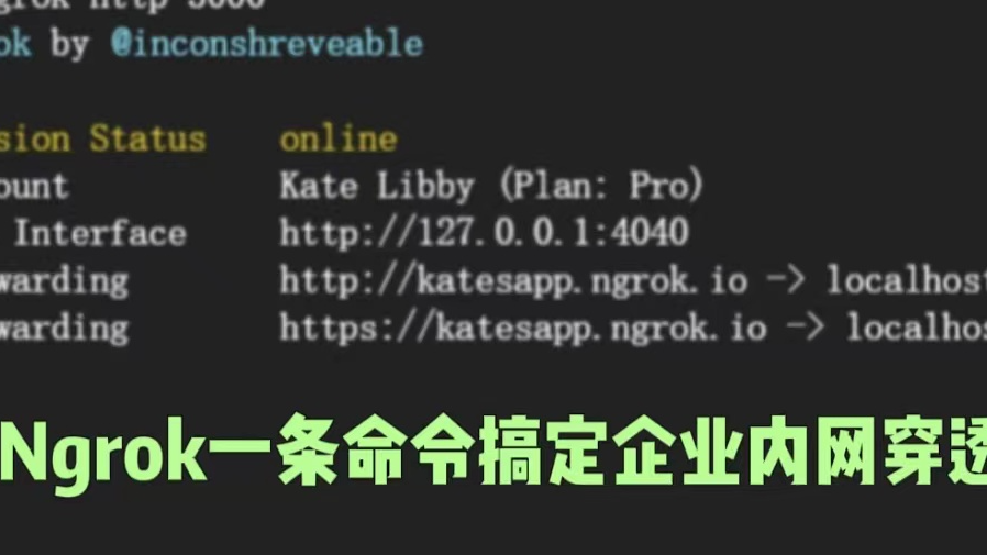 Ngrok内网穿透的详细步骤使用文档