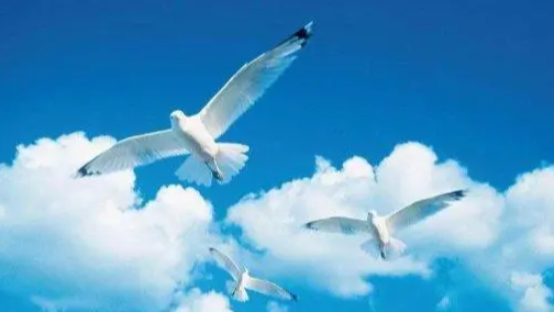 自动化测试必备技能