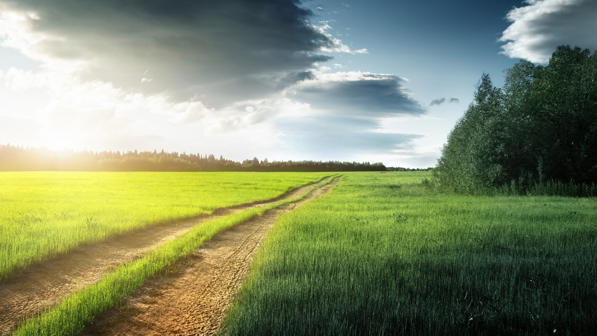 想起自己毕业那会儿