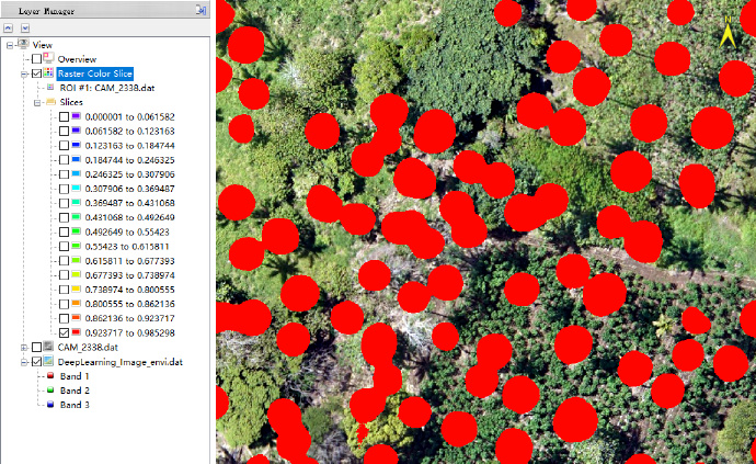 ENVI深度學習工具&ENVI精準農業工具強強聯合提取椰樹