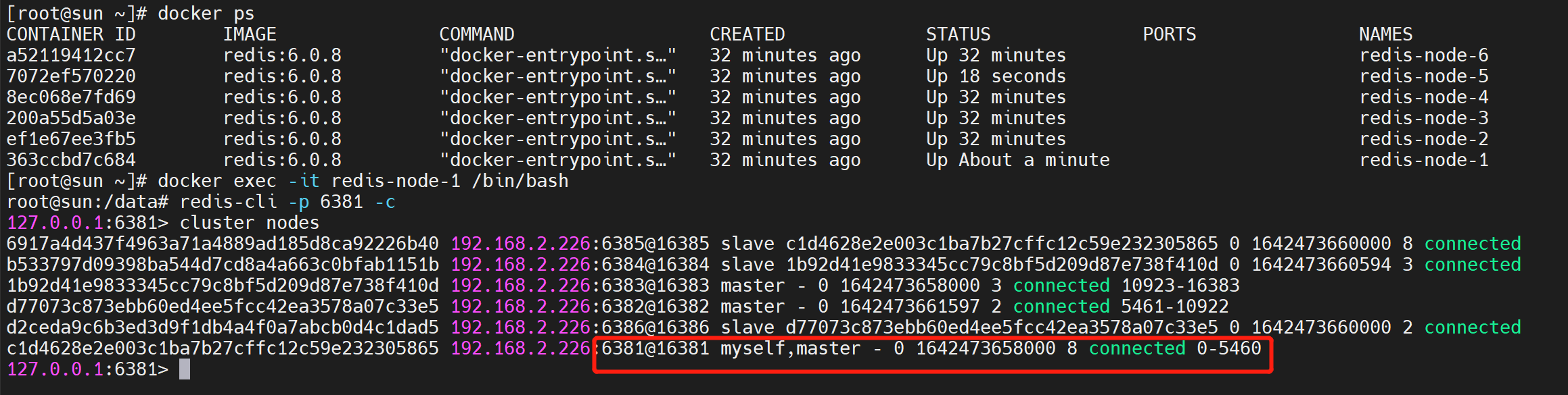 image-20220118104132350