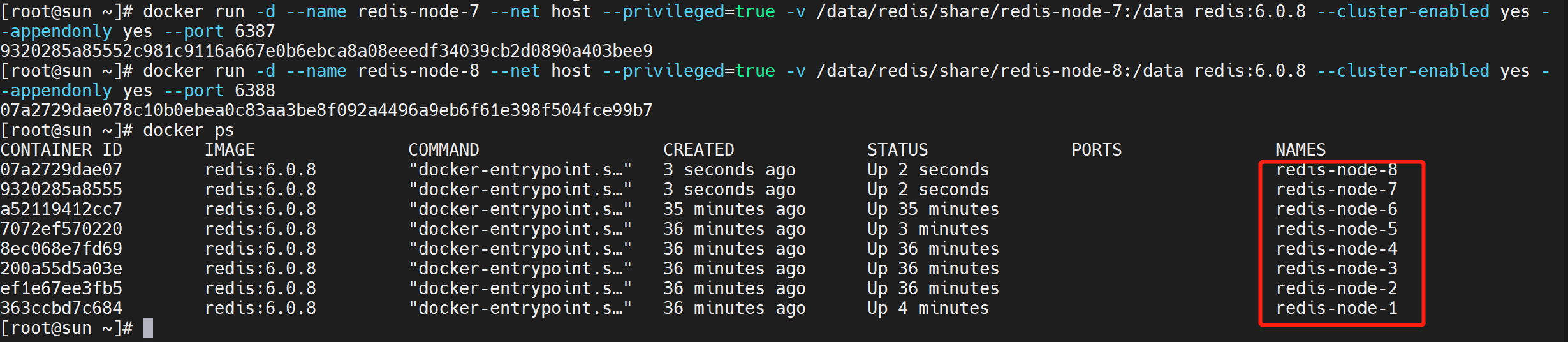 image-20220118104446564