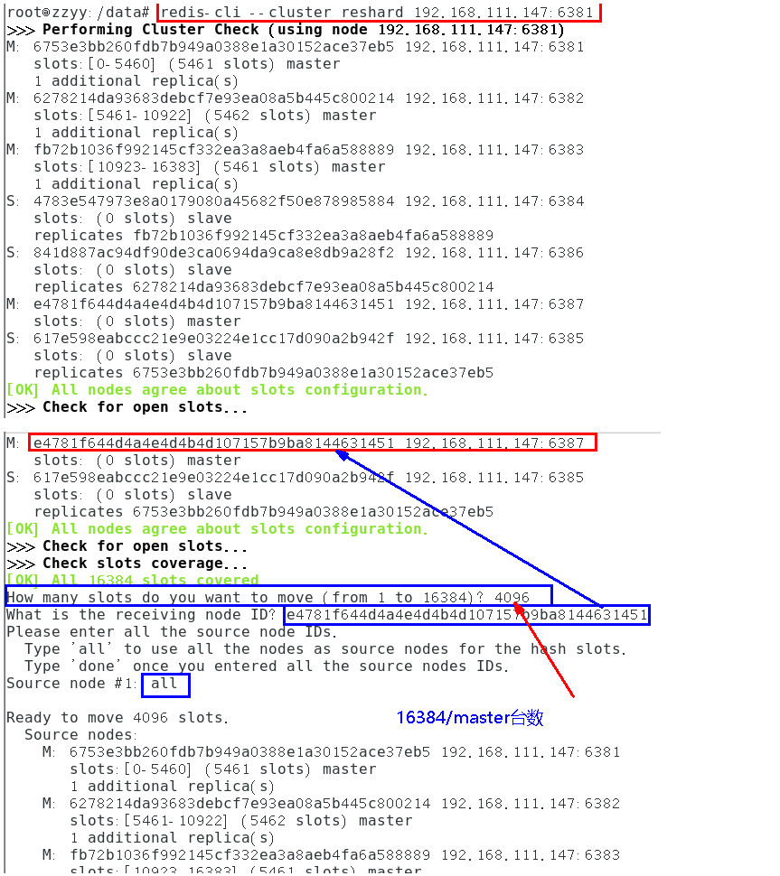 image-20220118105429185