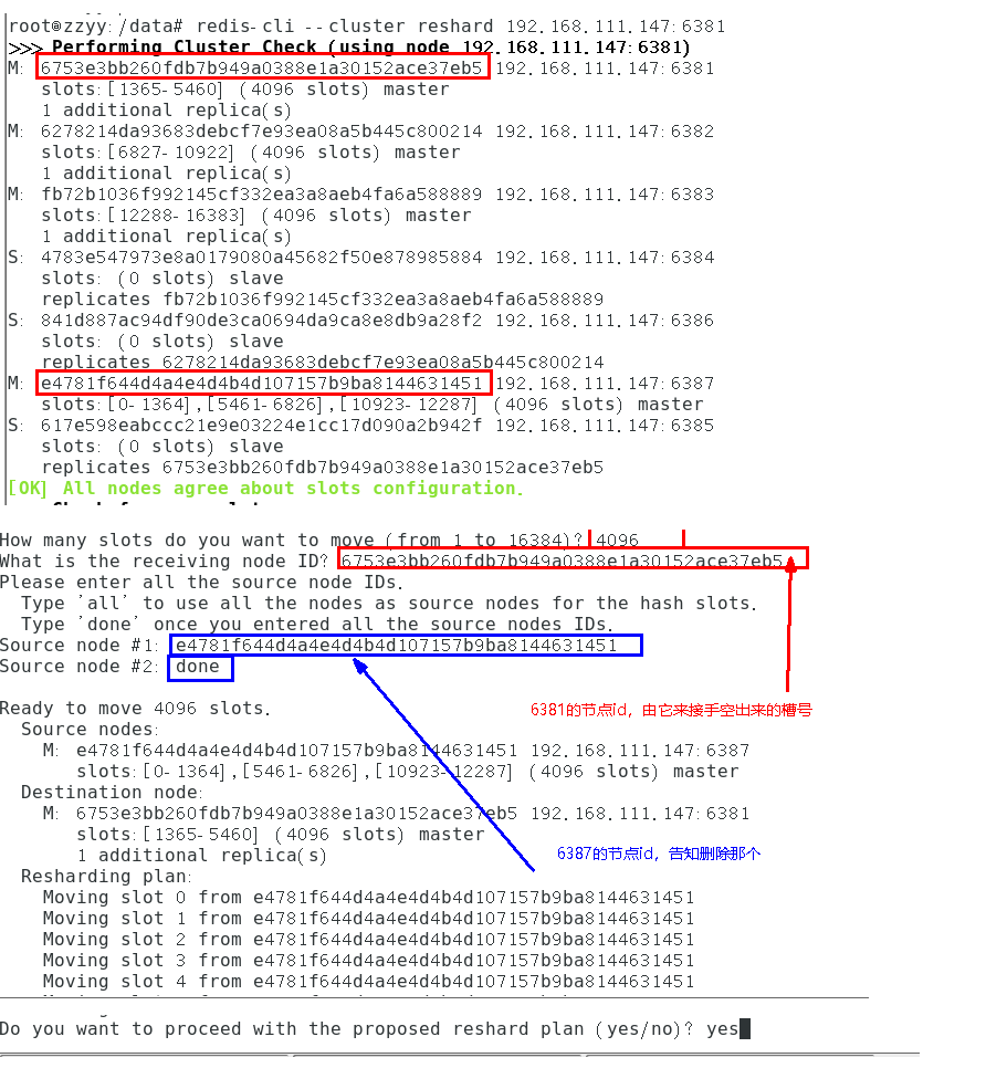 image-20220118111421996