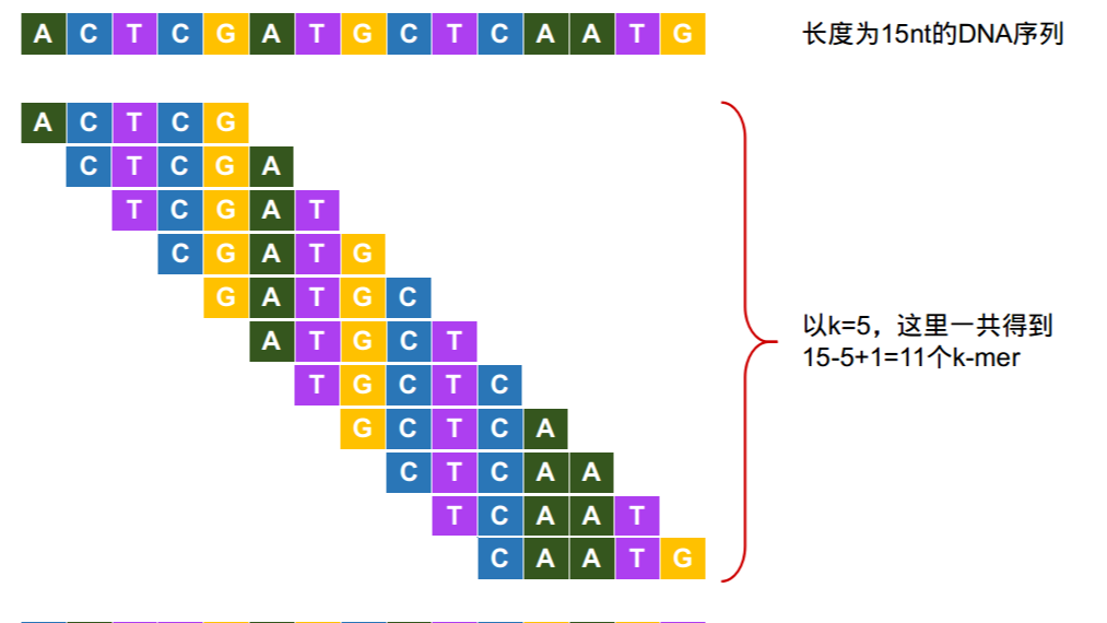 用kmer分析进行基因组调查：（一）基本原理