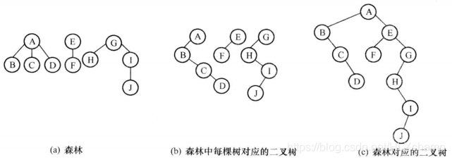 树、森林与二叉树的互相转换 子过杨梅 博客园