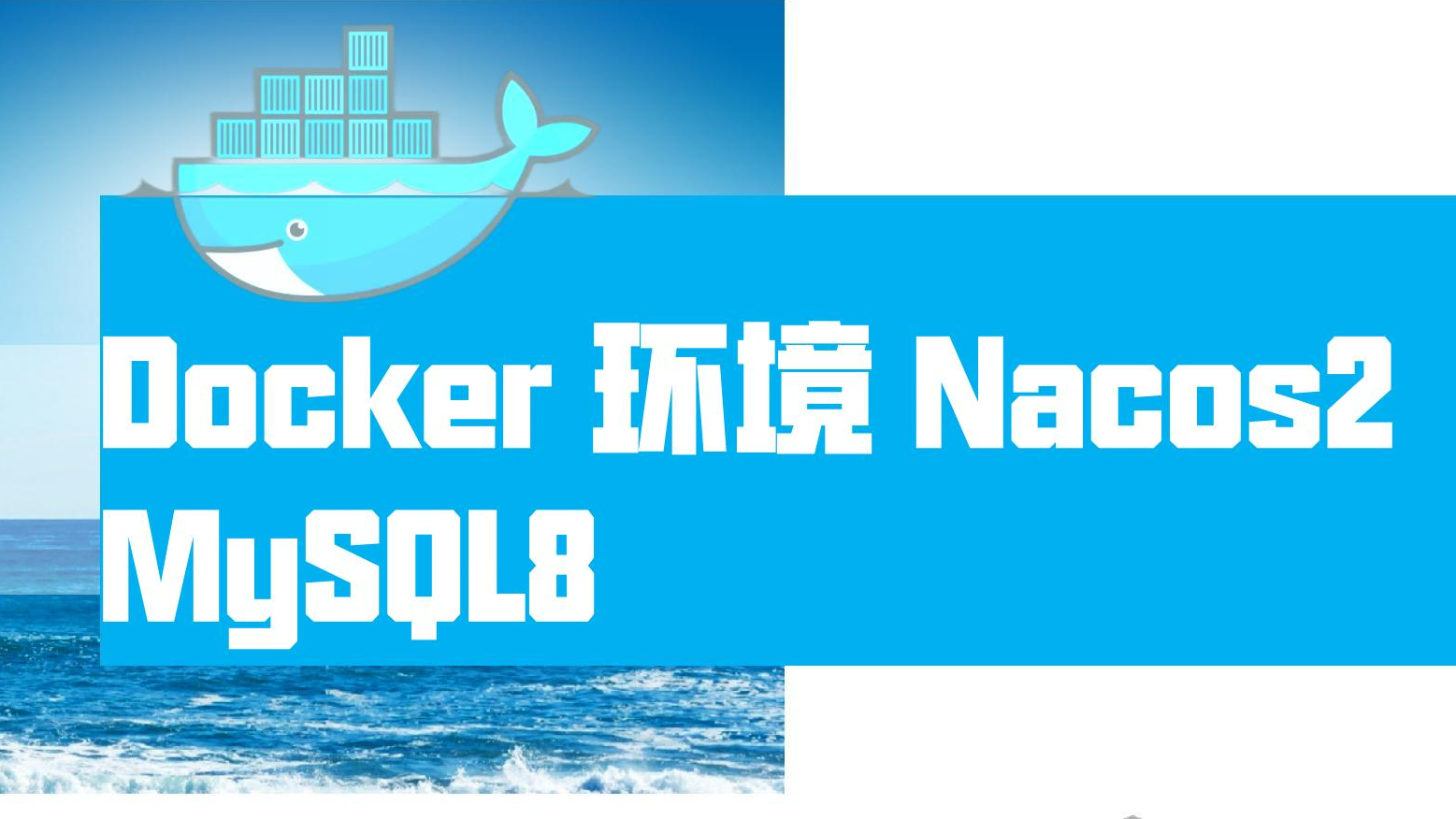  Docker 环境 Nacos2 MySQL8