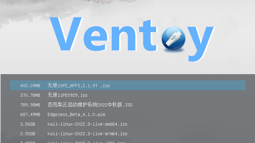 VentoyPE  ʹVMware