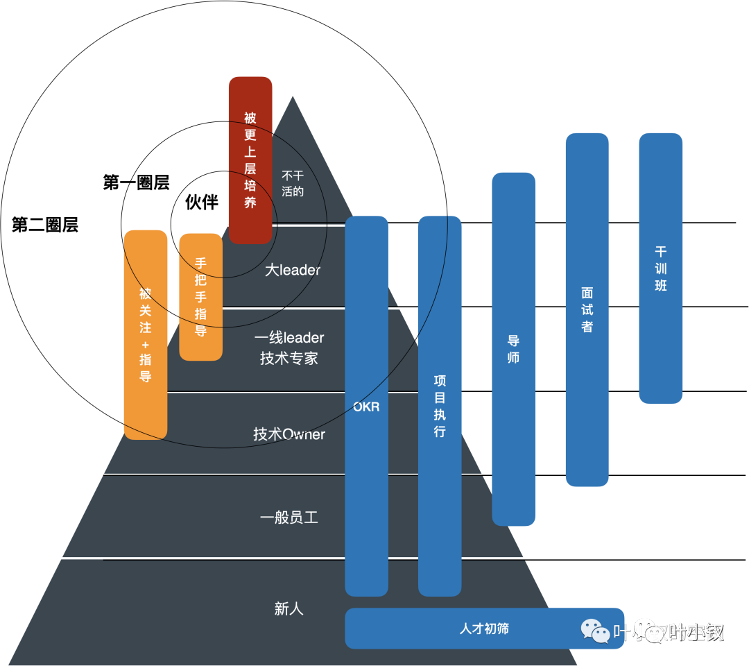 技術管理進階——Leader應該關注成長慢的同學嗎？